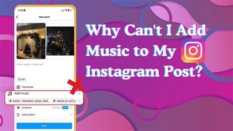 Why Can't I Add Music to My Instagram Post? And Why Do Cats Always Land on Their Feet?